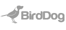BirdDog NDI